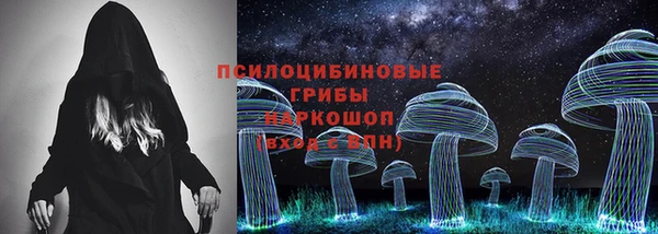 сатива Алексин